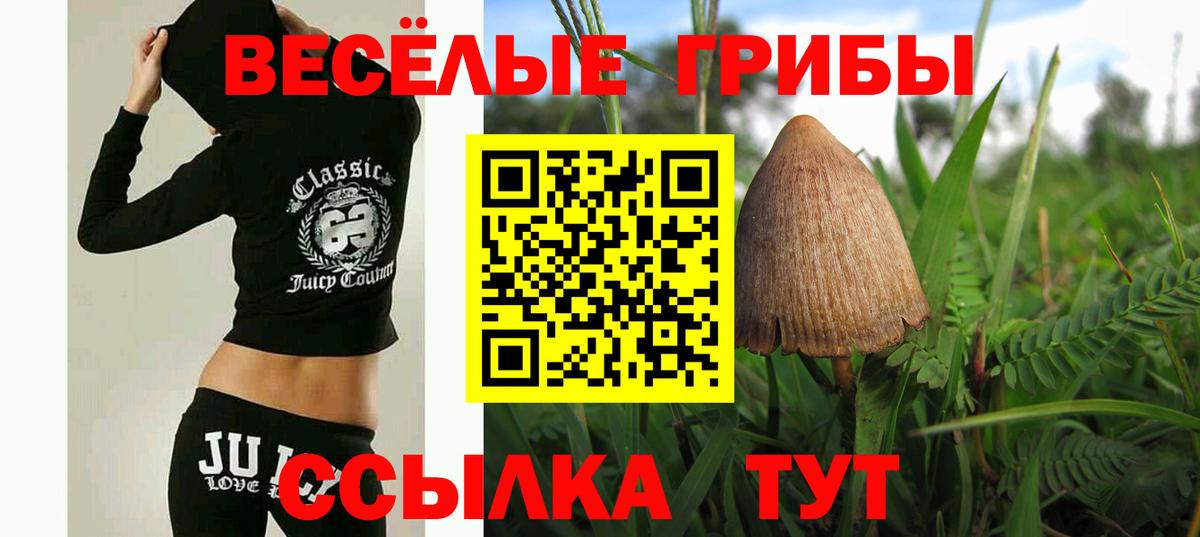 Псилоцибиновые грибы Psilocybine cubensis  Вход с VPN  Новочеркасск  Галлюциногенные грибы Psilocybine cubensis 